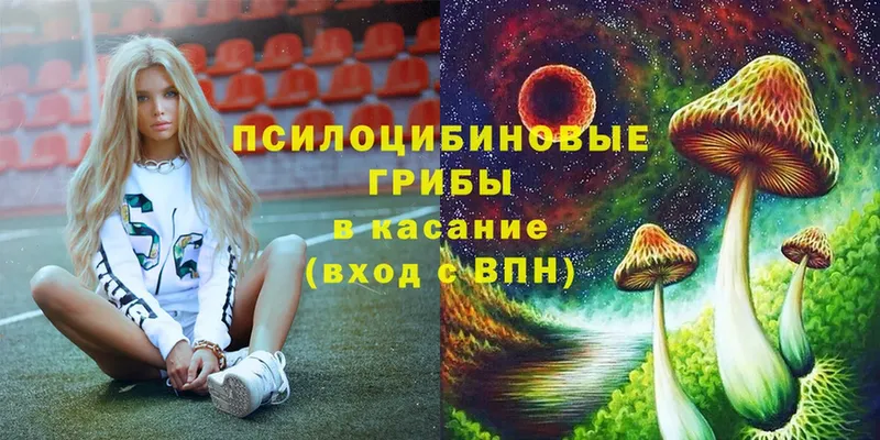 ссылка на мегу онион  Донецк  Галлюциногенные грибы Psilocybe 